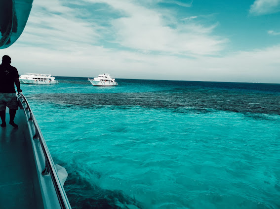 Red Sea boat day